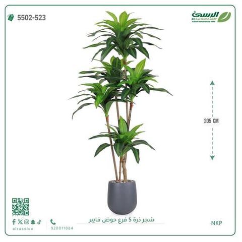 شجرة ذرة صناعية (5 فروع) ارتفاع 205 سم حوض فيبر