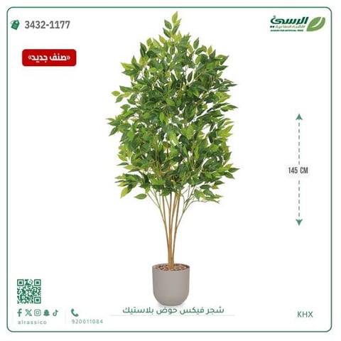 شجرة فيكس صناعية (ارتفاع 145 سم) حوض بلاستيك