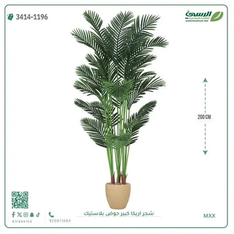 شجر أريكا صناعية ( ارتفاع 200 سم ) حوض بلاستك