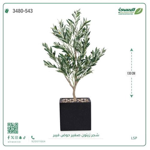 شجرة الزيتون الصناعية (ارتفاع 130 سم) حوض فيبر
