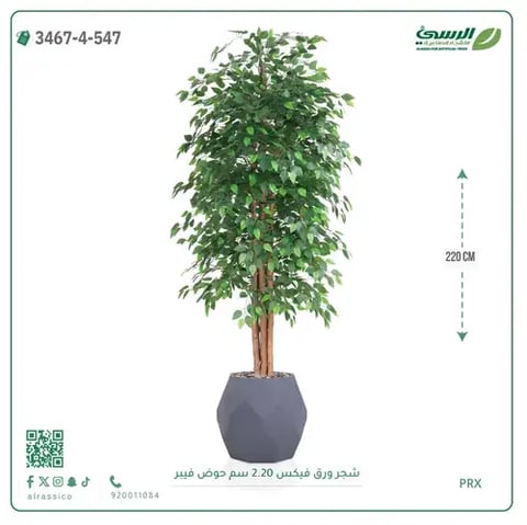شجر فيكس صناعية (ارتفاع 220 سم) حوض فيبر