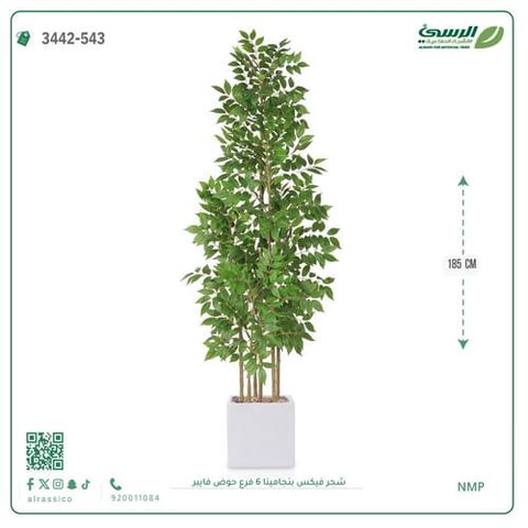شجرة فيكس بنجامينا صناعية 6 فروع (ارتفاع 185 سم) حوض فيبر مربع
