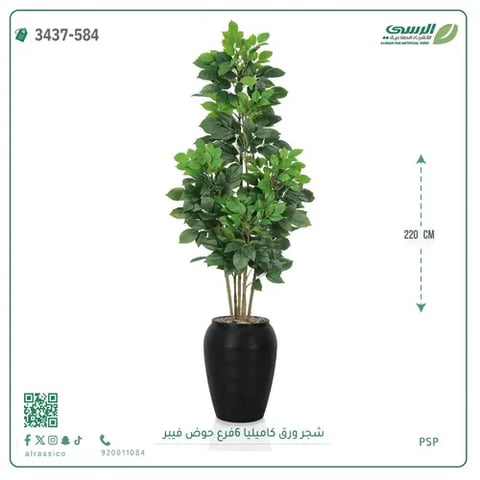 شجرة ورق كاميليا صناعية 6 فروع (ارتفاع 220 سم) حوض فيبر
