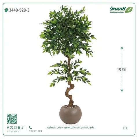 شجرة فيكس عود مائل صناعية صغيرة (ارتفاع 170 سم) حوض بلاستيك
