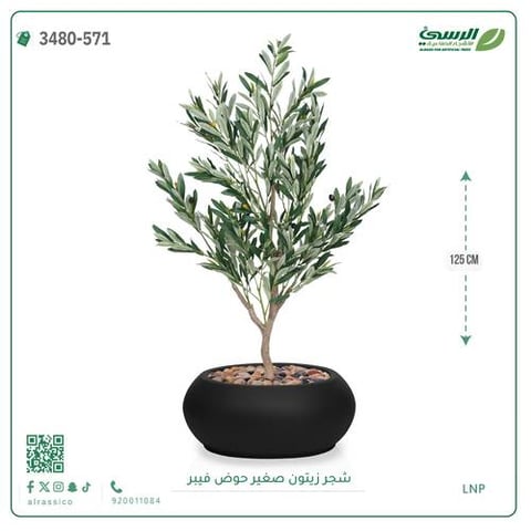 شجرة الزيتون الصناعية (ارتفاع 125 سم) حوض فيبر
