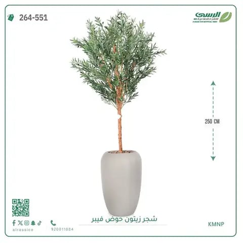 شجر زيتون صناعية ( ارتفاع 250 سم ) حوض فيبر
