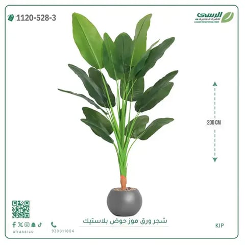 شجرة موز صناعية ( ارتفاع 200 سم ) حوض بلاستيك