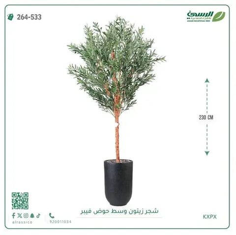 شجرة زيتون صناعية (ارتفاع 230 سم) بحوض فيبر