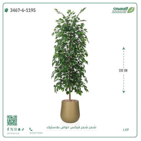 شجرة فيكس صناعية ( ارتفاع 220 سم ) حوض بلاستك