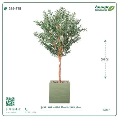 شجرة زيتون صناعية (ارتفاع 200 سم) بحوض فيبر مربع
