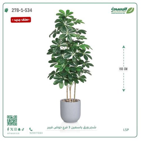 شجرة ورق ياسمين صناعية 3 فروع (ارتفاع 155 سم) حوض فيبر أسطواني