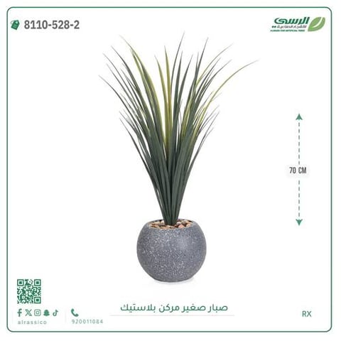 شجرة صبار صناعية ( ارتفاع 70 سم ) حوض بلاستك