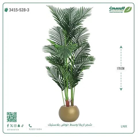 شجر أريكا صناعية ( ارتفاع 170 سم ) حوض بلاستك