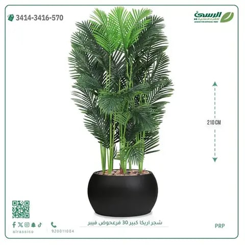 شجر أريكا صناعية ( ارتفاع 210 سم ) حوض فيبر