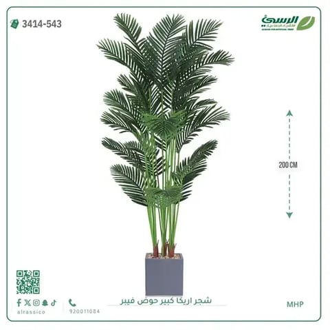 شجر أريكا صناعية ( ارتفاع 200 سم ) حوض فيبر