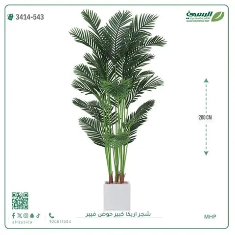 شجر أريكا صناعية ( ارتفاع 200 سم ) حوض فيبر