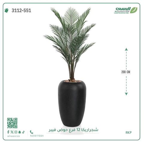 شجرة أريكا صناعية (ارتفاع 200 سم) بحوض فيبر جلاس
