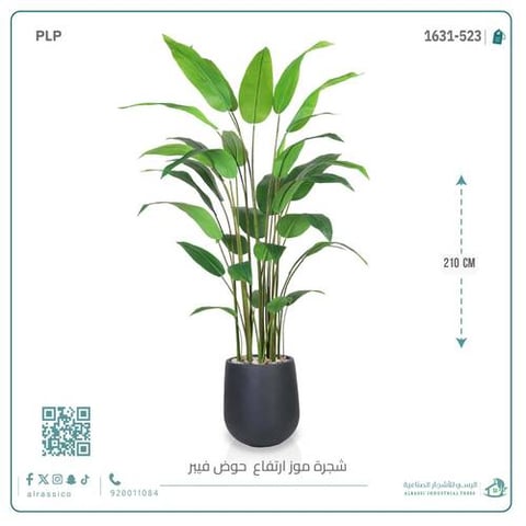  شجرة عصفور الجنة الاصطناعية الكبيرة بمركن فيبر أسطواني