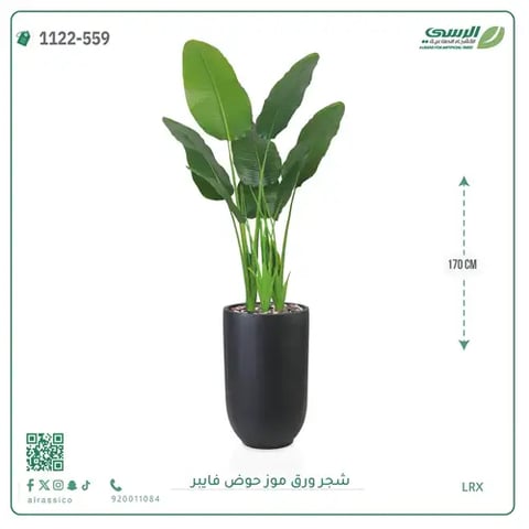 شجرة موز صناعية ( ارتفاع 170 سم ) حوض فيبر