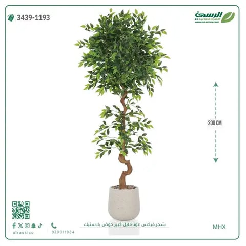 شجرة فيكس صناعية عود مائل (ارتفاع 200 سم) حوض بلاستيك