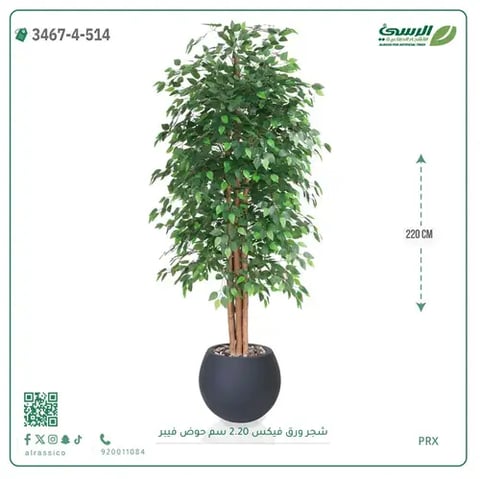 شجر فيكس صناعية (ارتفاع 220 سم) حوض فيبر