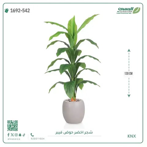 شجرة ورق ذرة صناعية (ارتفاع 130 سم) بحوض فيبر