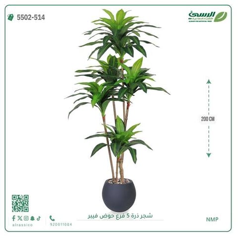 شجرة ذرة صناعية (5 فروع) ارتفاع 200 سم حوض فيبر