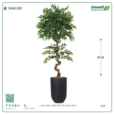 شجرة فيكس عود مائل صغيرة صناعية (ارتفاع 195 سم) حوض فيبر