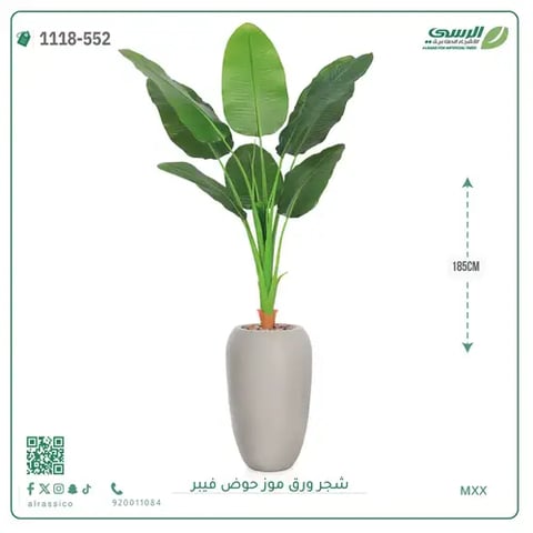 شجرة موز صناعية ( ارتفاع 185 سم ) حوض فيبر