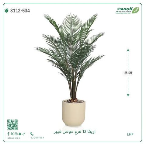 شجر أريكا صناعية ( ارتفاع 155 سم ) حوض فيبر