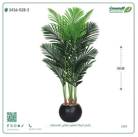 شجر أريكا صناعية ( ارتفاع 150 سم ) حوض بلاستك