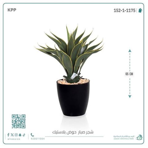 نبات صبار صناعي داخل مركن بلاستيك أسطواني