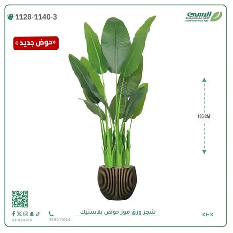 شجرة موز صناعية ( ارتفاع 165 سم ) حوض بلاستيك