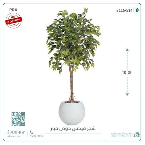 شجرة فيكس صناعية بحوض فيبر