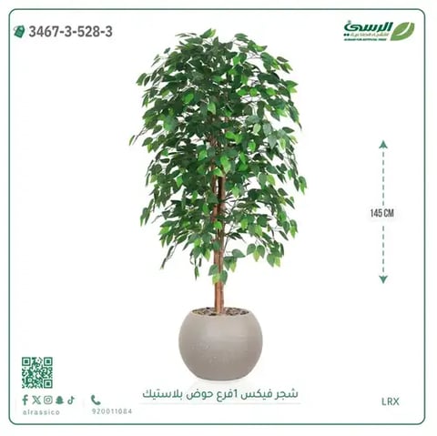 شجر فيكس صناعية (ارتفاع 145 سم) حوض بلاستيك