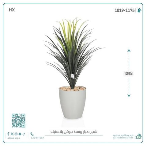 شجرة صبار اصطناعى بمركن بلاستيك اسطوانى