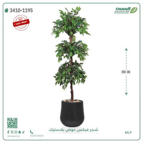 شجر فيكس صناعية ( ارتفاع 200 سم ) حوض بلاستك