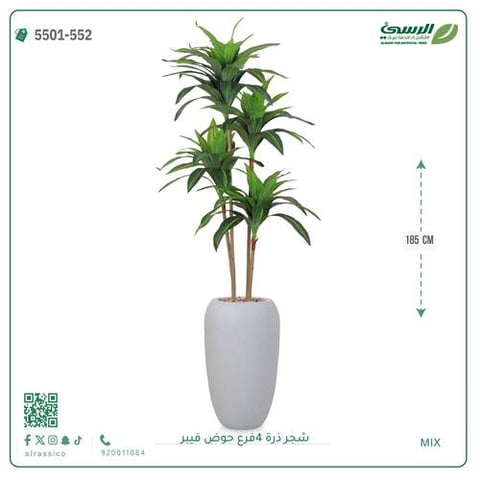 شجرة ذرة اصطناعية ( ارتفاع 165 سم ) حوض فيبر