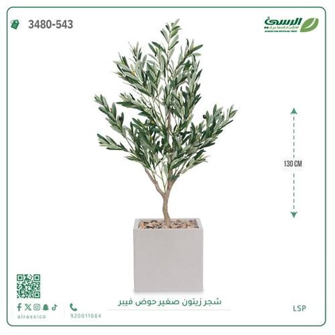 شجرة الزيتون الصناعية (ارتفاع 130 سم) حوض فيبر