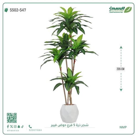 شجرة ذرة صناعية (5 فروع) ارتفاع 205 سم حوض فيبر