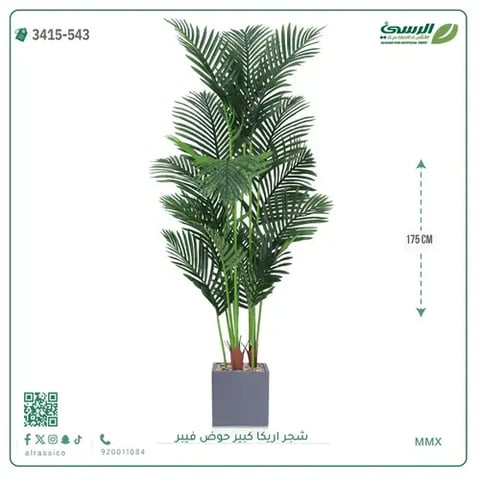 شجر أريكا صناعية ( ارتفاع 175 سم ) حوض فيبر