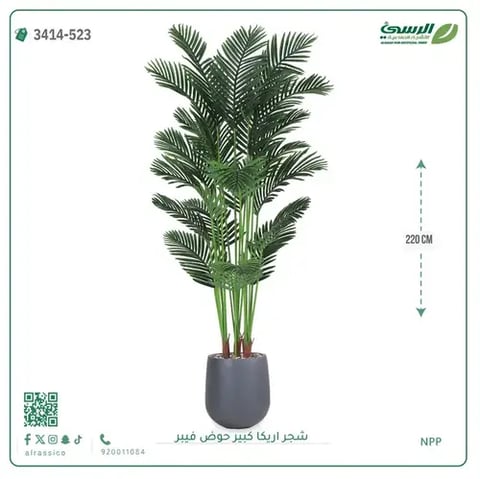 شجر أريكا صناعية ( ارتفاع 220 سم ) حوض فيبر