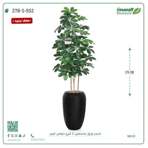 شجرة ورق ياسمين صناعية 3 فروع (ارتفاع 175 سم) حوض فيبر