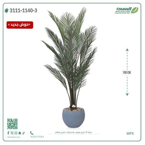 شجرة اريكا صناعية ( ارتفاع 190 سم ) حوض بلاستك