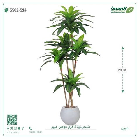 شجرة ذرة صناعية (5 فروع) ارتفاع 200 سم حوض فيبر