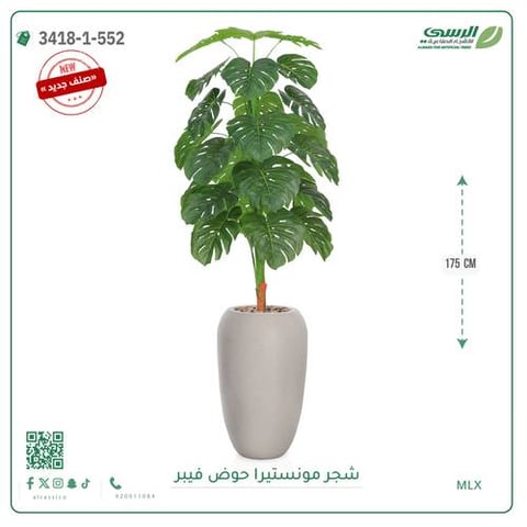 شجرة مونستيرا صناعية ( ارتفاع 175 سم ) حوض فيبر