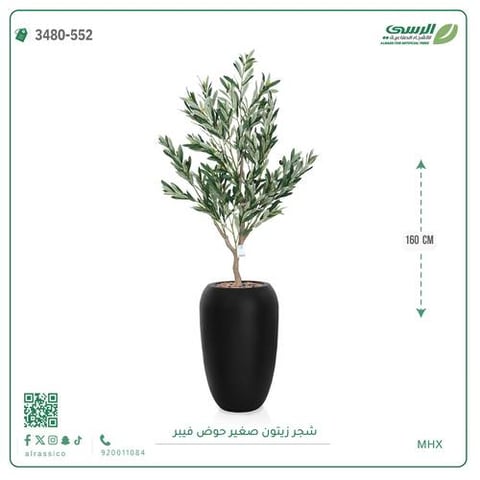  شجرة زيتون اصطناعية صغيرة بمركن فيبر اسطوانى 