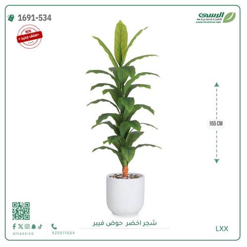 شجرة ورق أخضر وسط بمركن فيبر اسطوانى 