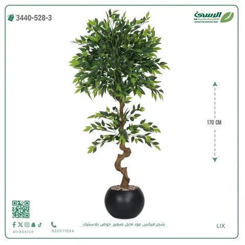 شجرة فيكس عود مائل صناعية صغيرة (ارتفاع 170 سم) حوض بلاستيك