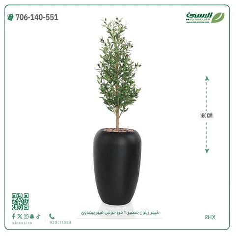 شجرة الزيتون الصناعية (ارتفاع 180 سم) حوض فيبر